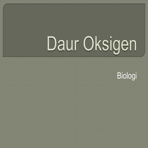 Daur oksigen