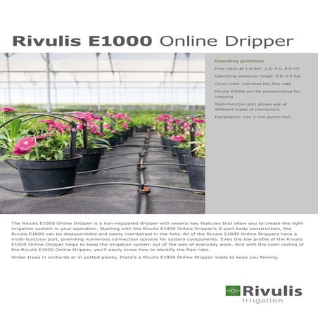 Dau tuoi nho giot rivulis e1000 israel