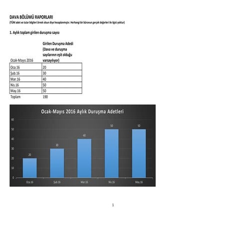 Dava bolumu ornek yonetim raporlari