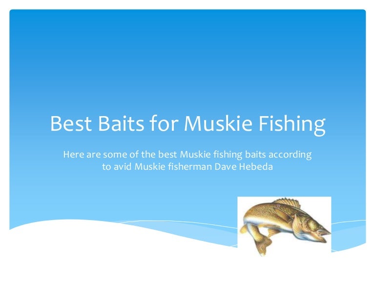 best bait for muskie