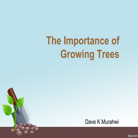 The Importance of Growing Trees
