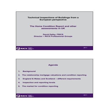 RICS Home Survey Guide | PDF
