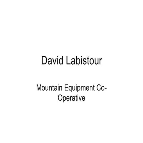 David Labistour