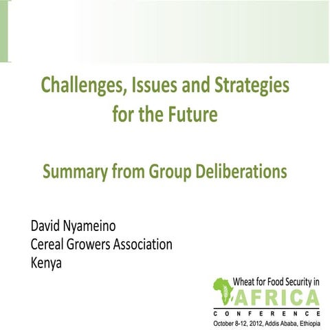 Challenges, Issues and Strategies for the Future - Summary from Group Deliber...