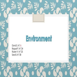 Environment