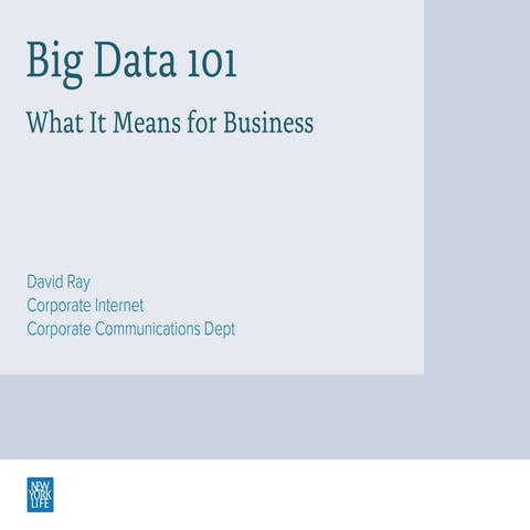 Big Data 101, What It Means for Business - BDI 12/4/13 The Future of Financia...