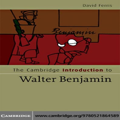 Introduction to Walter Benjamin, by David S Ferris 