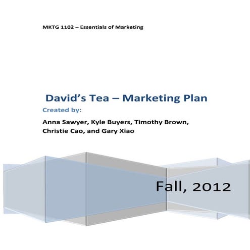 David's Tea Marketing Plan
