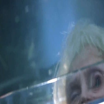 David Zappe - Let's tell stories RETRO!