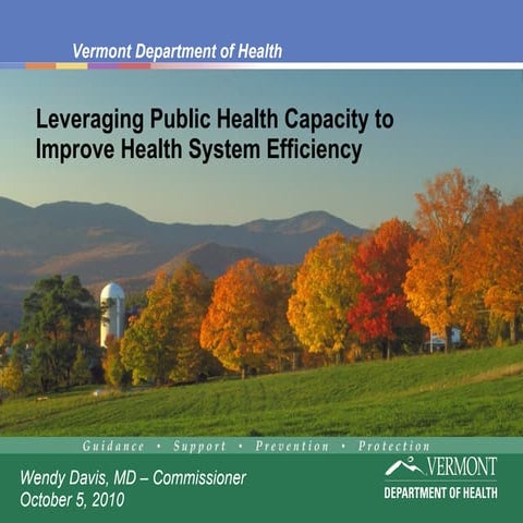 Wendy Davis: Leveraging Public Health Capacity to Improve Health System Effic...