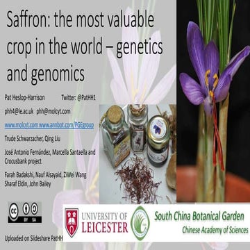 Saffron Crocus Genetics and Genomics - University of California Davis Seminar