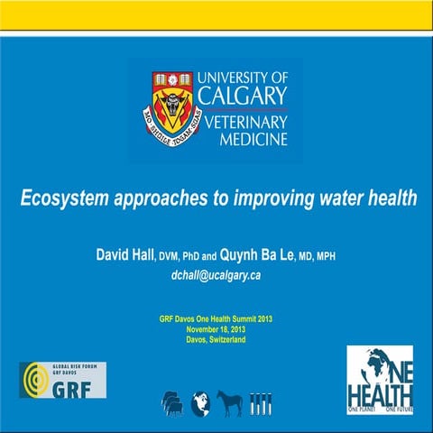 Ecosystem approaches to improving water health