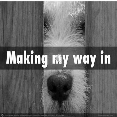 Dawn yetto an-introduction