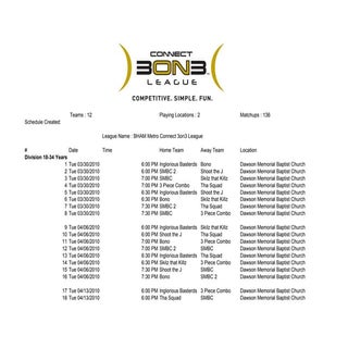 BHAM METRO-Connect 3on3 League Spri...