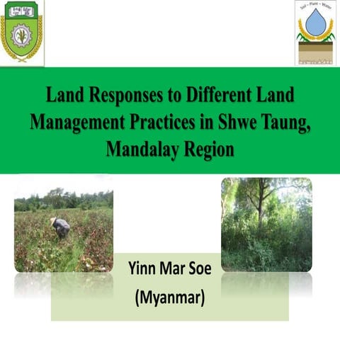 Daw yinn mar soe mmr