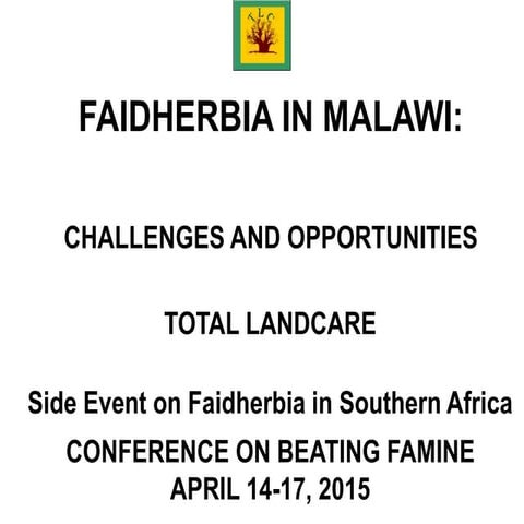 Faidherbia in Malawi: Challenges and Opportunities