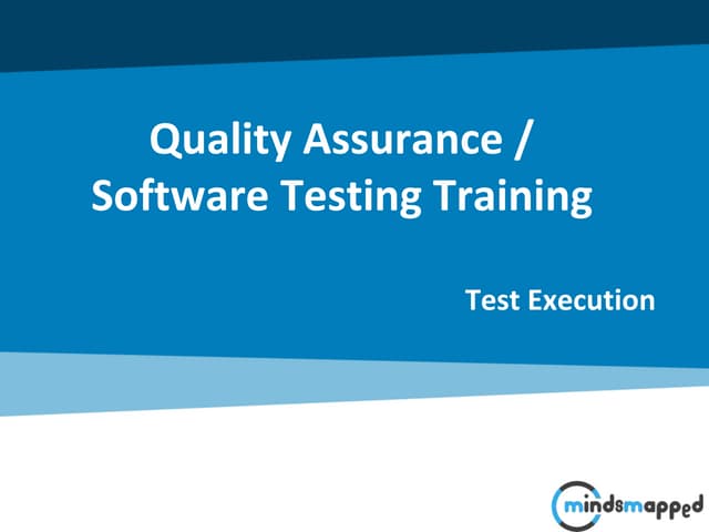 Test Execution
