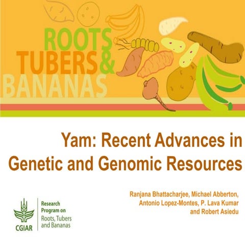 Yam: Recent Advances in Genetic and Genomic Resources 