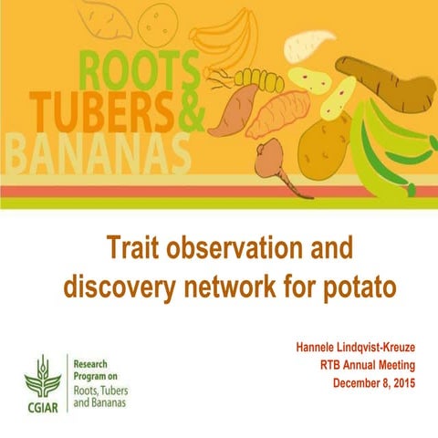 Trait observation and discovery network for potato 