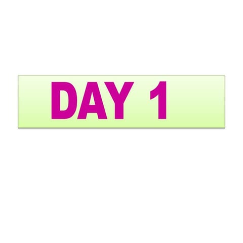 Day 1 ICT lesson plan