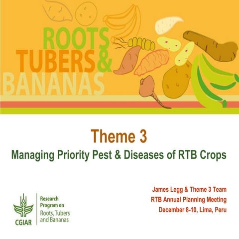 Managing Priority Pest & Diseases of RTB Crops