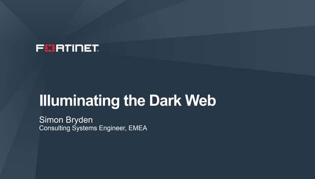 Illuminating the dark web