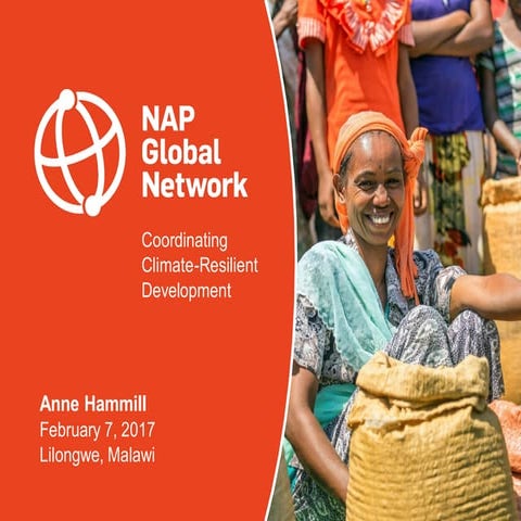 Introduction to the NAP Global Network | Anne Hammill