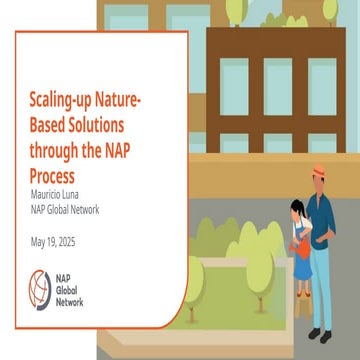 Scaling up NbS through the NAP process.pptx