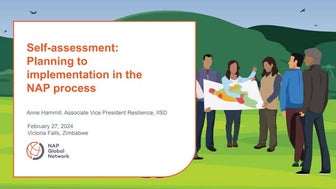 Self-assessment: Planning to implementation in the NAP process + integrating ...