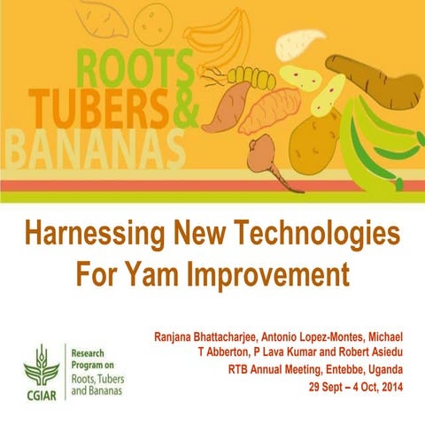 Harnessing new technologies for yam improvement