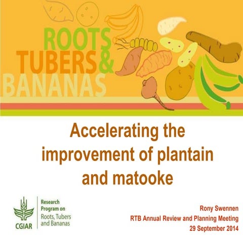 Accelerating the improvement of plantain and matooke