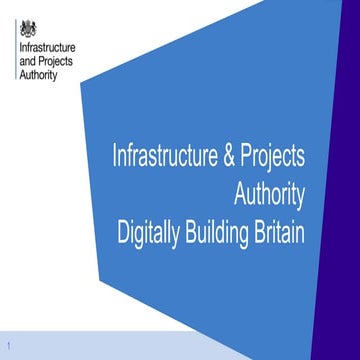 UK Infrastructure and Projects Authority | PDF