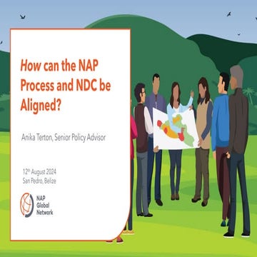 How Can the NAP Process and NDCs Be Aligned | PDF