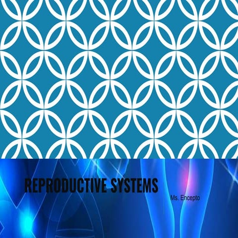 Reproductive system- parts and functions,