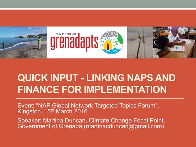 Linking NAPs and Finance for Implementation