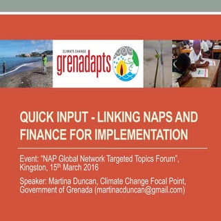 Linking NAPs and Finance for Implem...