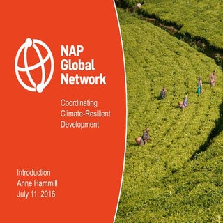 Introduction to the NAP Global Netw...