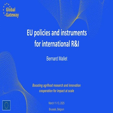EU R&I landscape and its instruments (relevance, success, limits)