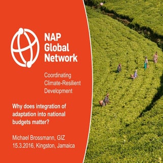 Why does integration of adaptation ...