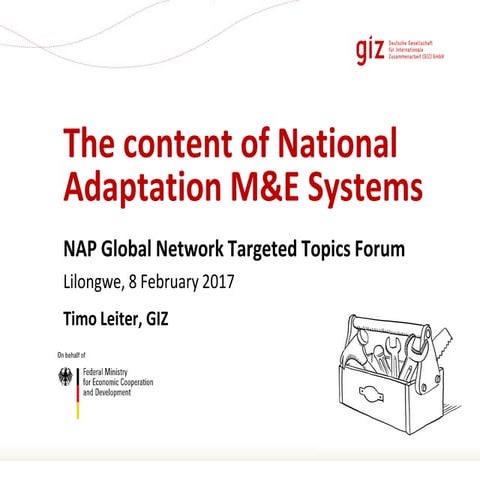 The content of National Adaptation M&E Systems | Timo Leiter