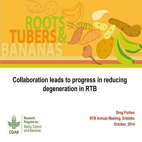 Collaboration leads to progress in reducing degeneration in RTB