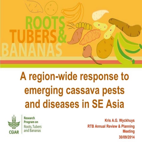 A region-wide response to emerging cassava pests and diseases in SE Asia
