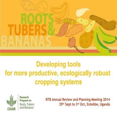 Developing tools for more productive, ecologically robust cropping systems