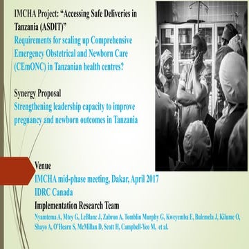 Day 2 panel 1 accessing safe deliveries tz