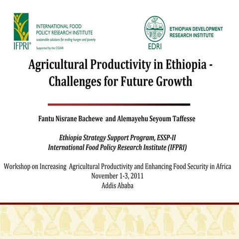 Agricultural Productivity in Ethiopia - Challenges for Future Growth