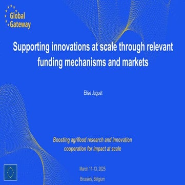 Supporting innovations at scale through relevant funding mechanisms and markets