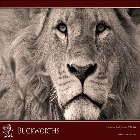 Day 2 Workshop, Michael Buckworth