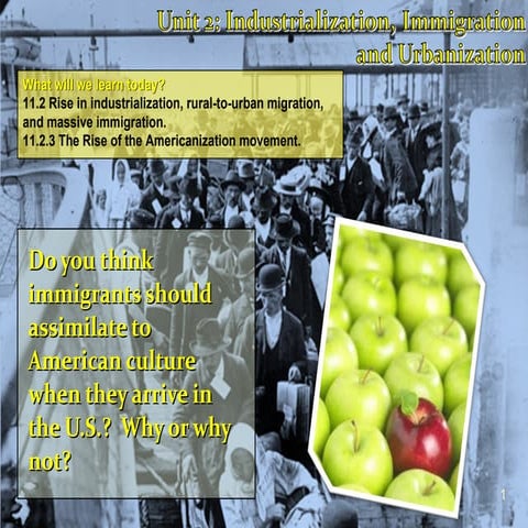 immigration and urbanization