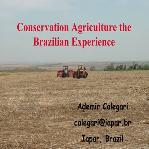 Day 3 conservation agriculture field workshop project breadbasket calegari, i...
