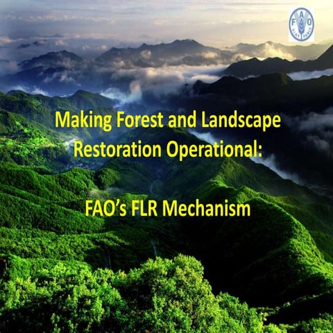 Flr Forest Landscape Restoration – BZCQL